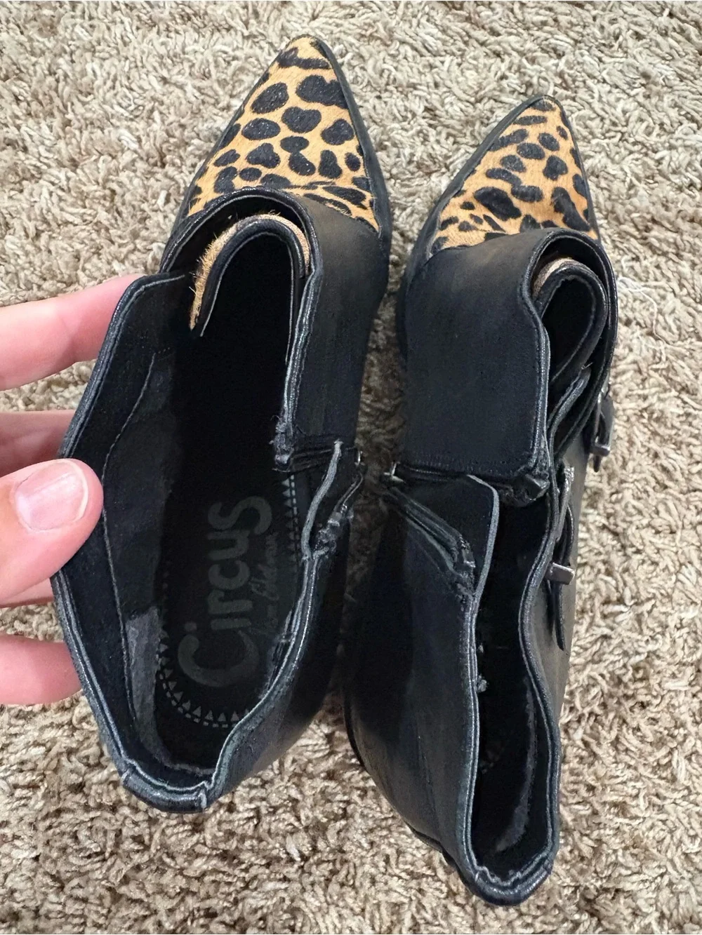 Circus by Sam Edelman Leather Reese  Black Animal Print Booties